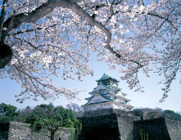 университет Осака