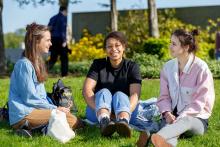 студенты в парке