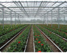 сельское хозяйство