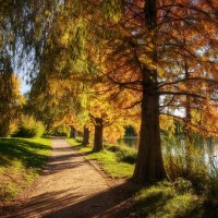 Фет Осень анализ