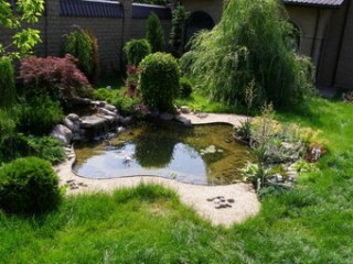 Пруд на приусадебном участке